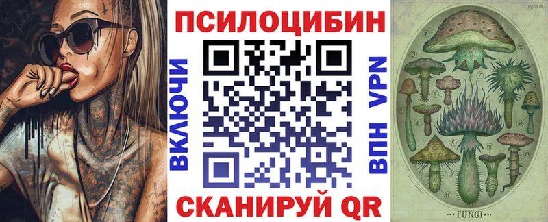 Псилоцибиновые грибы Psilocybine cubensis kraken маркетплейс Покровск что такое